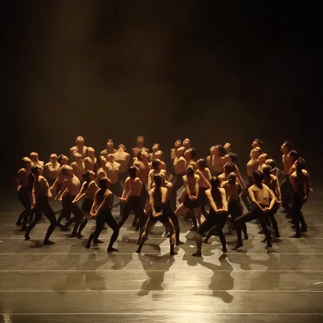 BOLERO X – שחר בנימיני